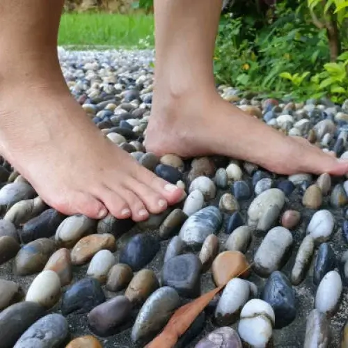 Neoliv Grand Forest Plots Reflexology Track